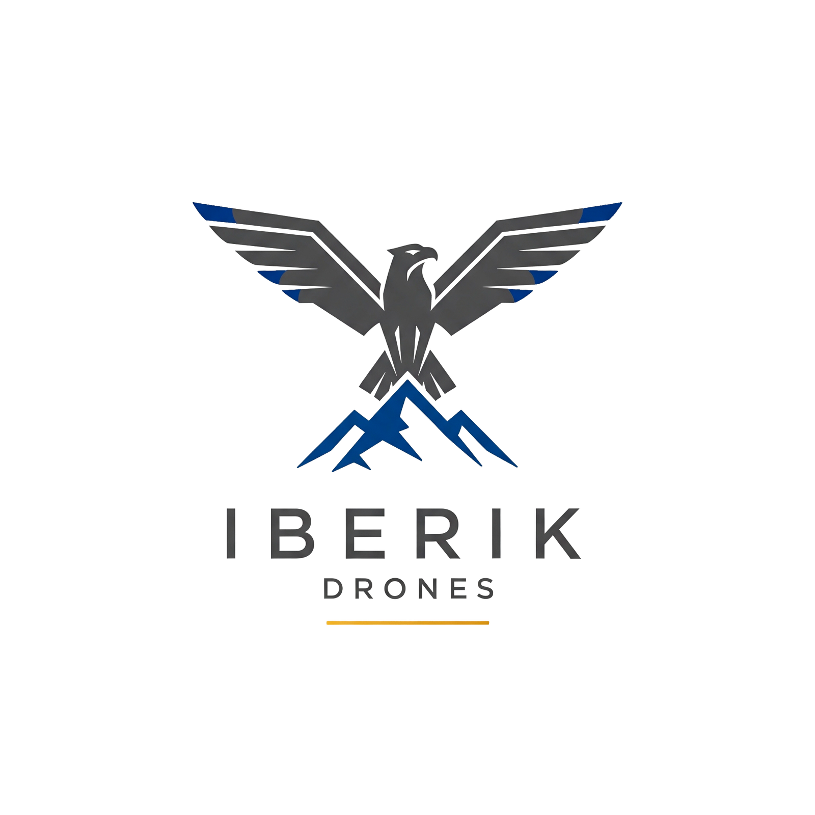 Logo Iberik Drones